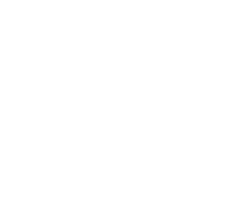 Bekkenfysiotherapie 